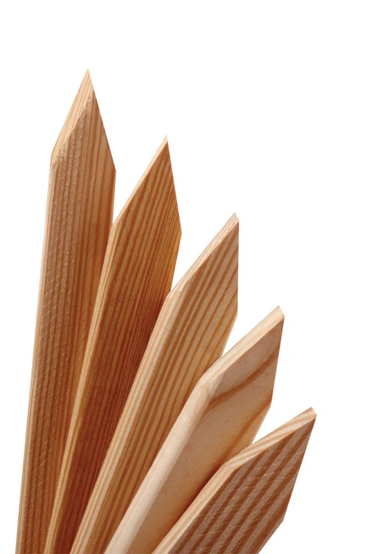 celebrationhardware4809807