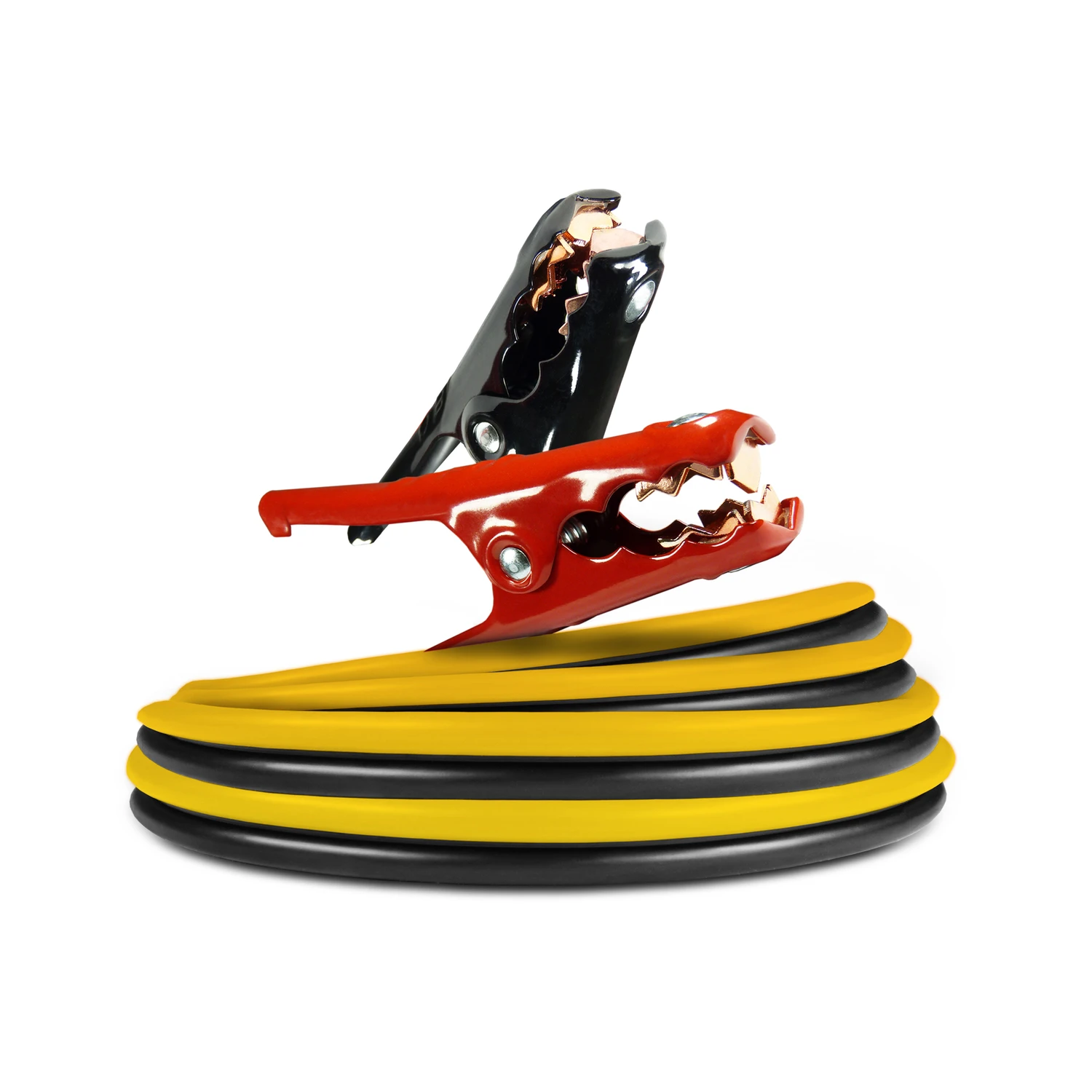 celebrationhardware5026259